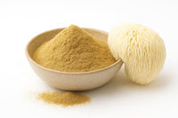Lion's Mane Mushroom Extract