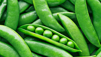 Pea Protein (Belguim)